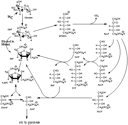 CHEM-642 Biochemistry