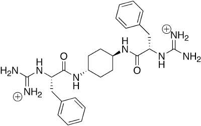 protein molecule