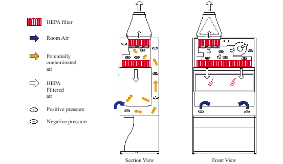 Biosafety Cabinet Air Flow Diagram