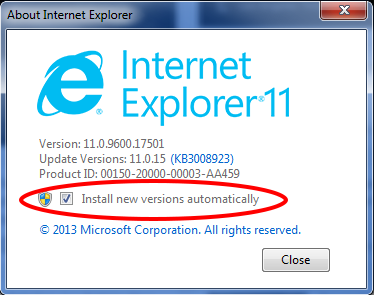 Internet Explorer Dialogue Box with Auto Install Selected