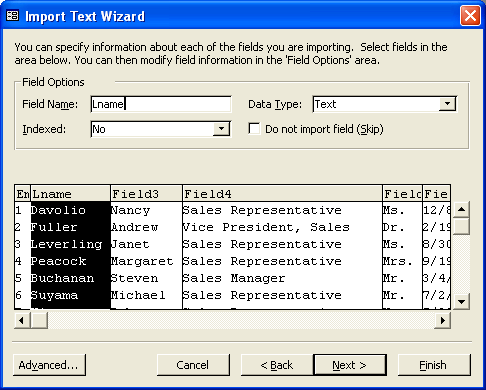 Import text wizard screenshot from MS Access