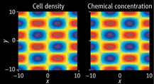 Biological pattern formation