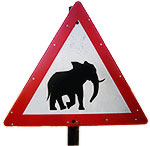 elephant_crossing.jpg