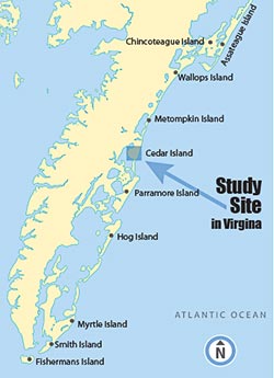 Virginia Study Site Map