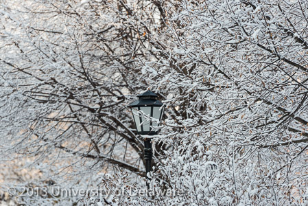 Campus-121013-Snow