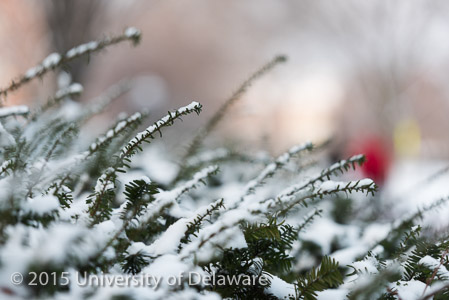 Campus-Snow-010615