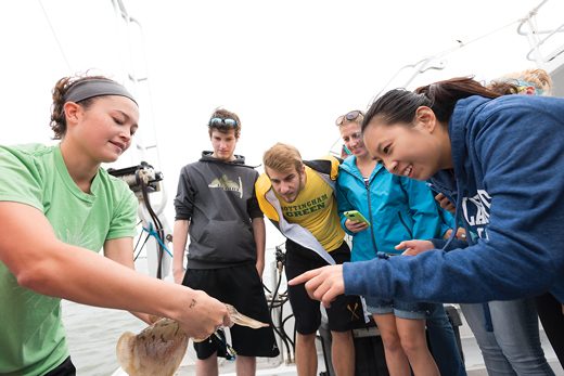 students studying fish on the R/V Joanne Daiber
