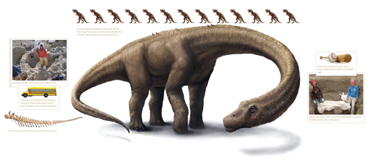 composite image of dinosaur with comparisons