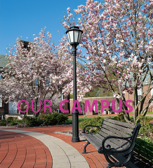 Campus title page-image of UD campus in spring
