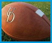 an image of a UD football