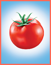 an image of a tomato