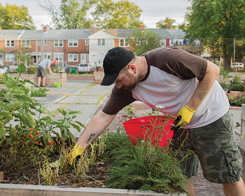 People working in a community Garden near Wilmington, DE