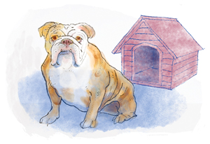 Illustration of a dog in front of a dog house