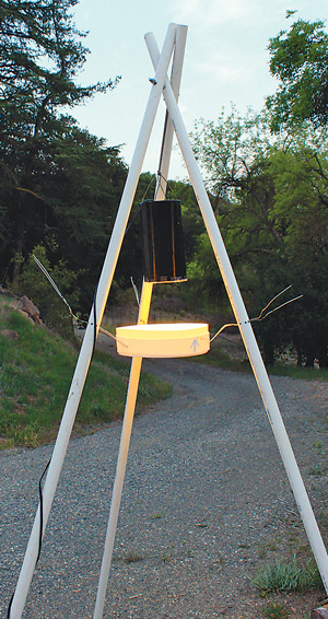image of A pan trap for Longcore’s study, which customized the wavelength of LED lights and found a 20 percent decline in the number of mosquitoes and other insects.